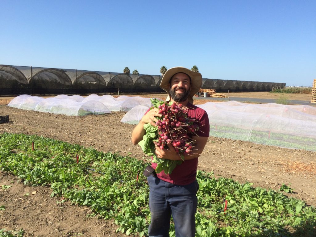 Oxnard California Ventura County Agricultural and Coastal Market Offering Relative Affordability